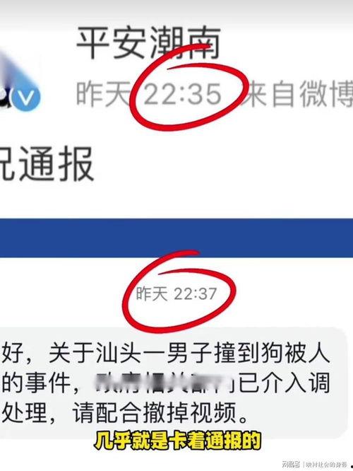 爆料博主被撞视频大全,惊心动魄！爆料博主被撞现场视频大盘点